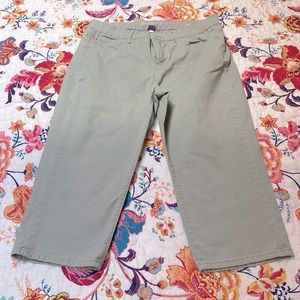 Gloria Vanderbilt capri pants